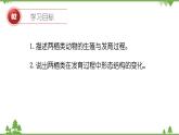 苏教版生物八年级下册 第二十一章 第四节 两栖类的生殖与发育课件