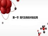 蘇教版生物八年級(jí)下冊(cè) 第二十四章 第一節(jié) 現(xiàn)代生物技術(shù)的應(yīng)用課件