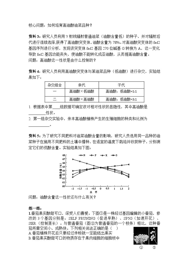 人教版八年级下册生物7.2.1《基因控制生物的性状》（专题复习）同步练习02