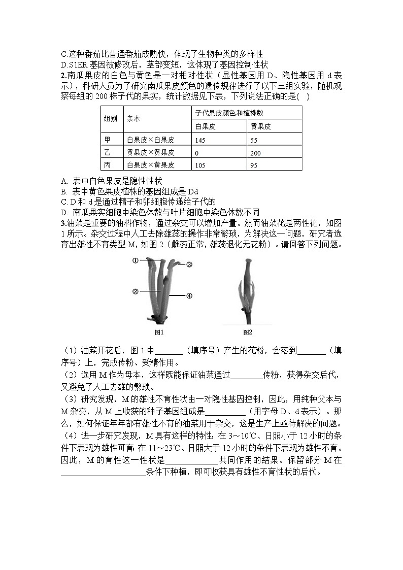 人教版八年级下册生物7.2.1《基因控制生物的性状》（专题复习）同步练习03