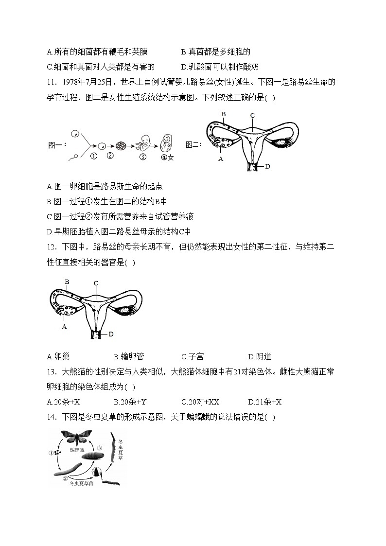 海南省乐东黎族自治县2023-2024学年八年级上学期期末考试生物试卷(含答案)第3页