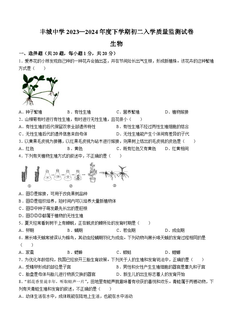 江西省丰城中学2023-2024学年八年级下学期开学生物试题第1页