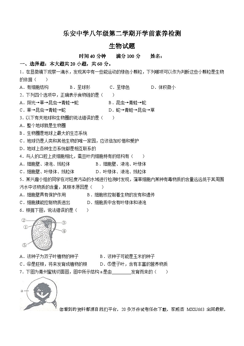 山东省东营市广饶县乐安街道乐安中学2023-2024学年八年级下学期开学生物试题()01