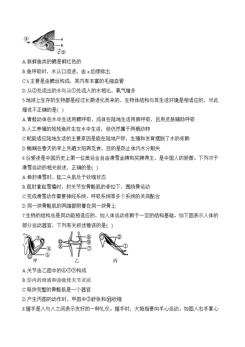 湖南省衡阳县井头镇中学2023-2024学年八年级下学期生物开学测试02