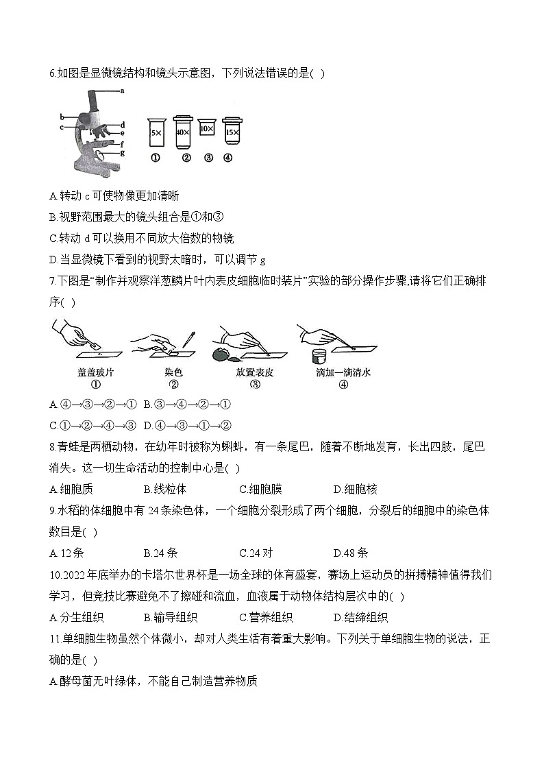 湖南省衡阳县井头镇中学2023-2024学年七年级下学期生物开学测试第2页