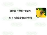 17.1++动物在生物圈中的作用++课件-2023-2024学年北师大版生物八年级上册