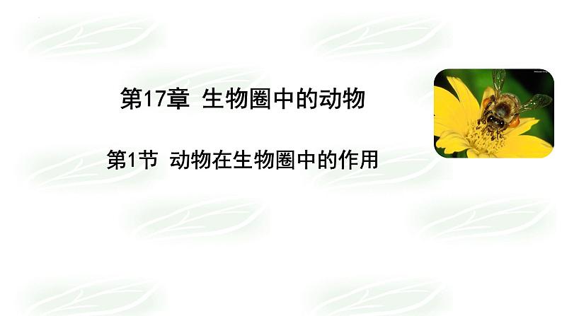 17.1++动物在生物圈中的作用++课件-2023-2024学年北师大版生物八年级上册第2页