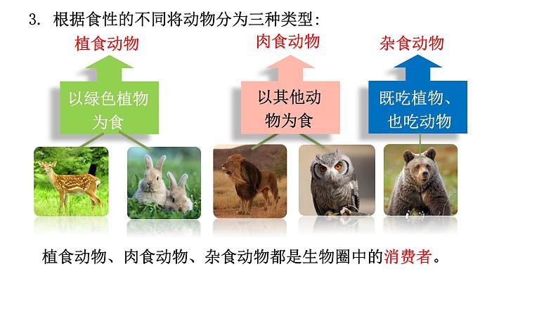 17.1++动物在生物圈中的作用++课件-2023-2024学年北师大版生物八年级上册第5页