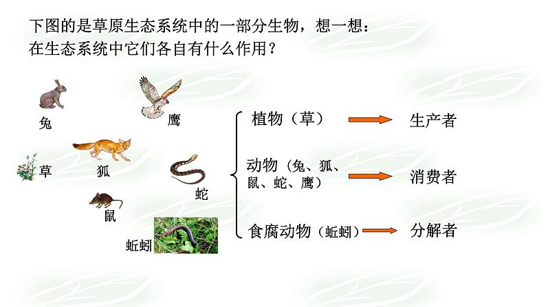 17.1++动物在生物圈中的作用++课件-2023-2024学年北师大版生物八年级上册第7页