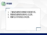 7.1绿色植物是食物之源教学课件2023--2024学年苏教版生物七年级上册