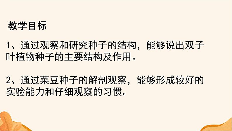 3.1.2++种子植物（双子叶植物）课件-2023-2024学年人教版生物七年级上册02