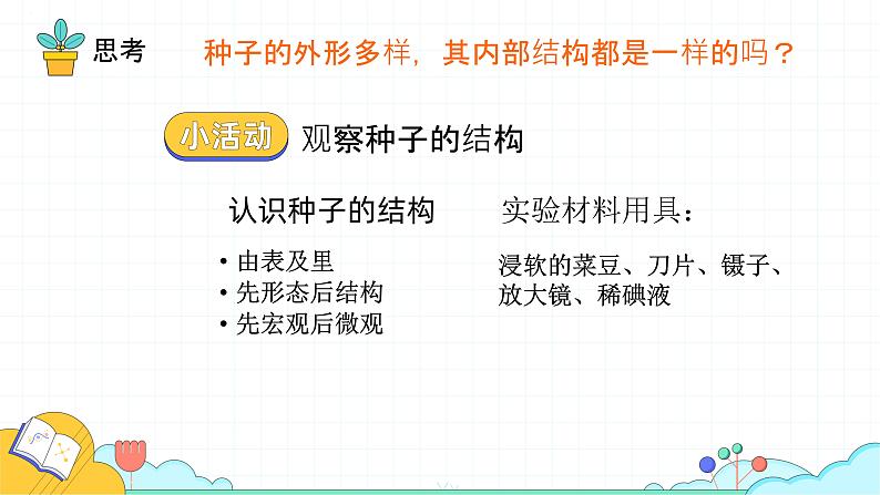 3.1.2++种子植物（双子叶植物）课件-2023-2024学年人教版生物七年级上册08