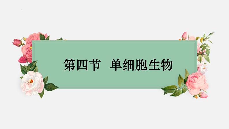 2.2.4单细胞生物课件2023--2024学年人教版生物七年级上册第2页