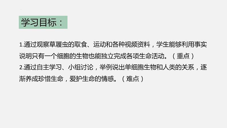 2.2.4单细胞生物课件2023--2024学年人教版生物七年级上册第3页