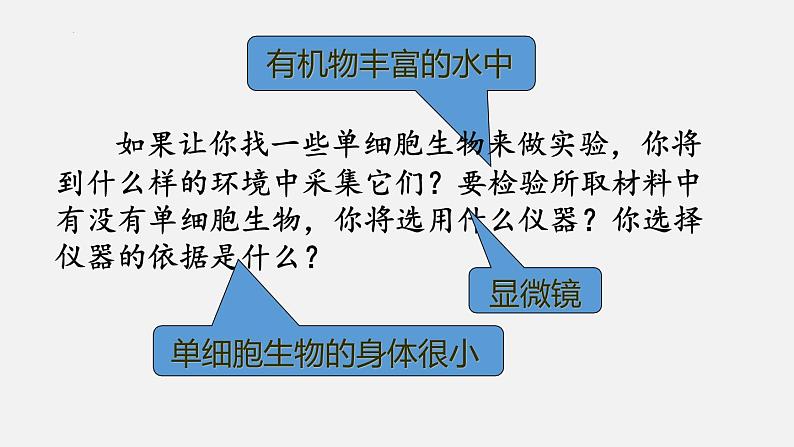 2.2.4单细胞生物课件2023--2024学年人教版生物七年级上册第5页