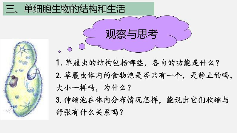 2.2.4单细胞生物课件2023--2024学年人教版生物七年级上册第7页