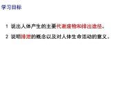 11.1人体代谢废物的排出课件2023--2024学年北师大版生物七年级下册