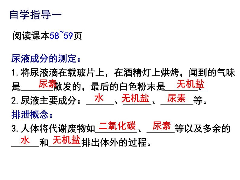 11.1人体代谢废物的排出课件2023--2024学年北师大版生物七年级下册03