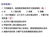 11.1人体代谢废物的排出课件2023--2024学年北师大版生物七年级下册