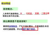 11.1人体代谢废物的排出课件2023--2024学年北师大版生物七年级下册