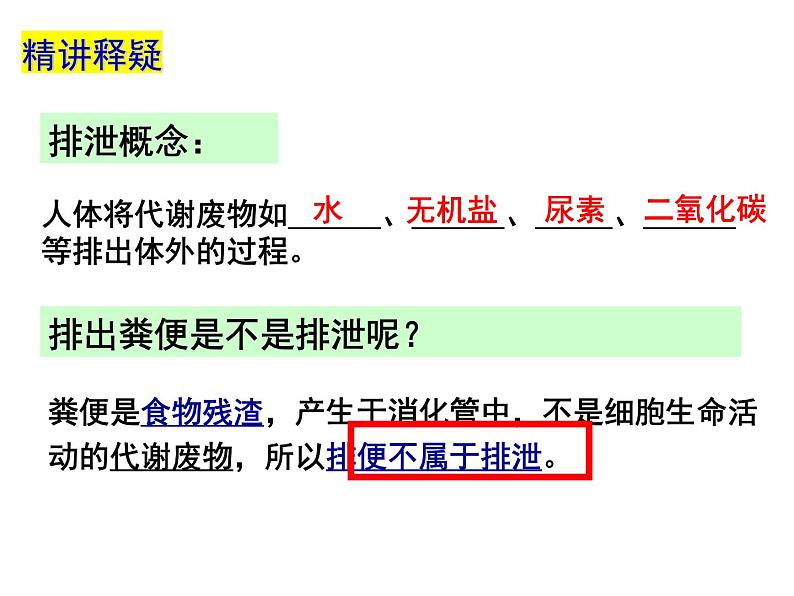 11.1人体代谢废物的排出课件2023--2024学年北师大版生物七年级下册05