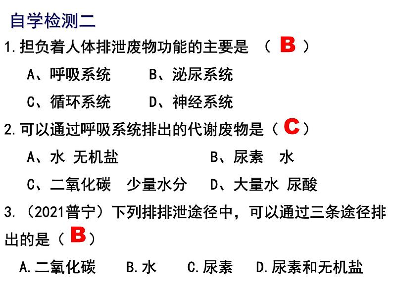 11.1人体代谢废物的排出课件2023--2024学年北师大版生物七年级下册07