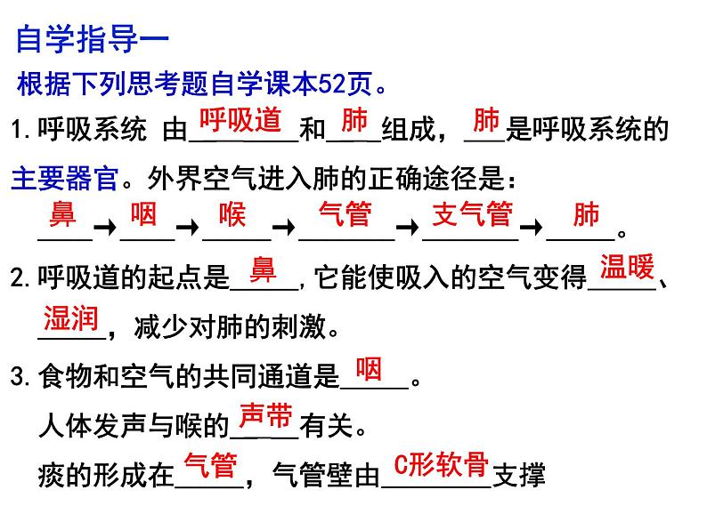 10.2.1呼吸系统课件2023--2024学年北师大版生物七年级下册第3页