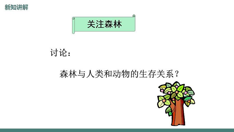 7.3绿化，我们共同行动教学课件2023--2024学年苏教版生物七年级上册第6页