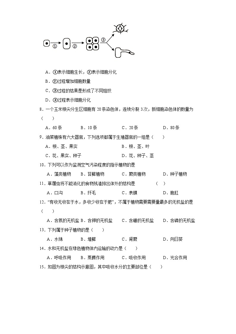 吉林省桦甸市初中2023-2024学年七年级上学期期末生物试题(含答案)第2页