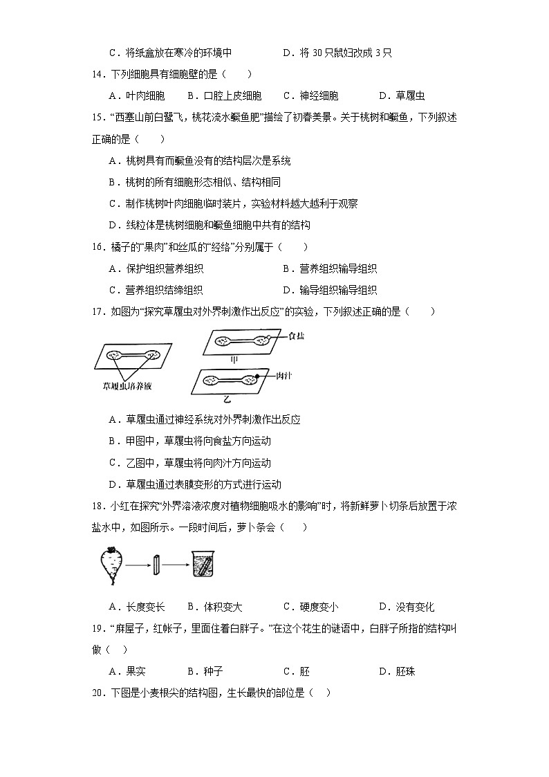 江苏省南京市联合体2023-2024学年七年级上学期期末生物试题(含答案)02