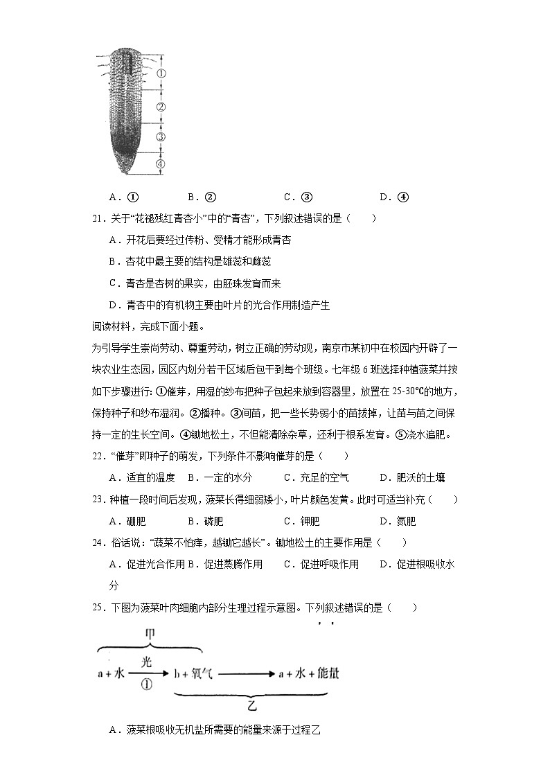 江苏省南京市联合体2023-2024学年七年级上学期期末生物试题(含答案)03