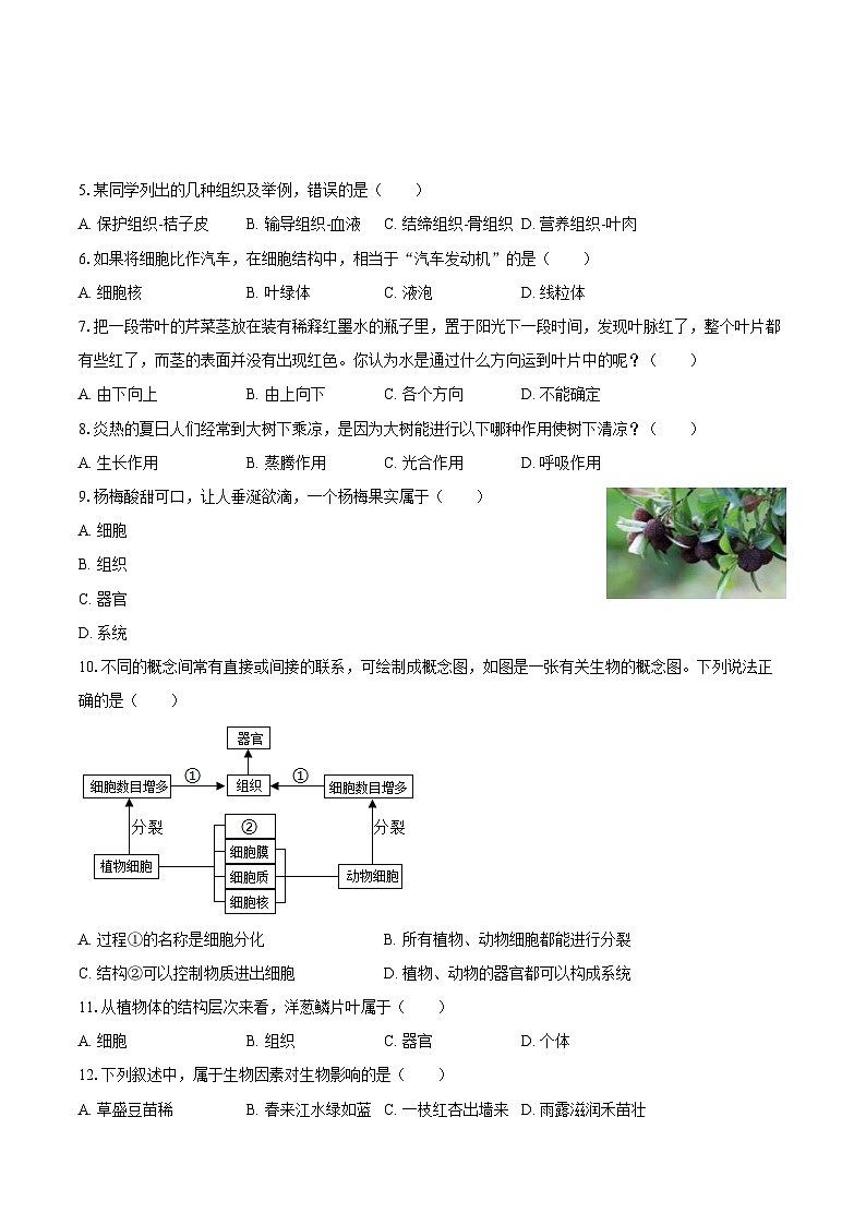 2023-2024学年四川省绵阳市江油市七年级（下）入学生物学试卷（含解析）第2页