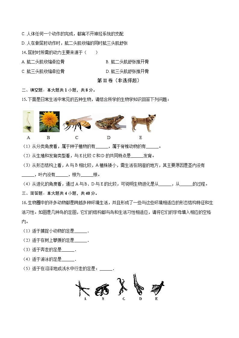 2023-2024学年海南省海口市农垦中学八年级（上）期末生物试卷（A卷）（含解析）第3页