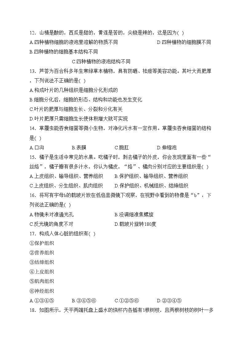湖南省常德市安乡县2023-2024学年七年级上学期期末质量监测生物试卷(含答案)03