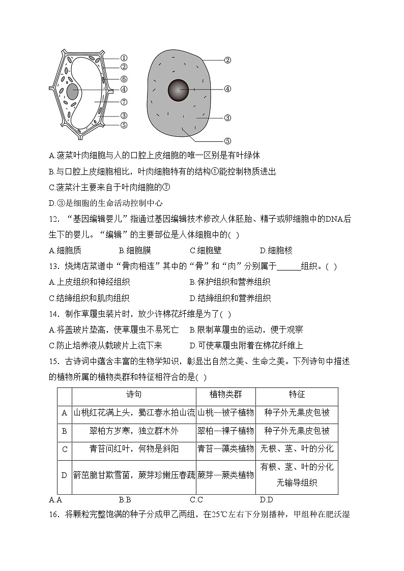 陕西省西安市铁一中学2023-2024学年七年级上学期期末考试生物试卷(含答案)第3页