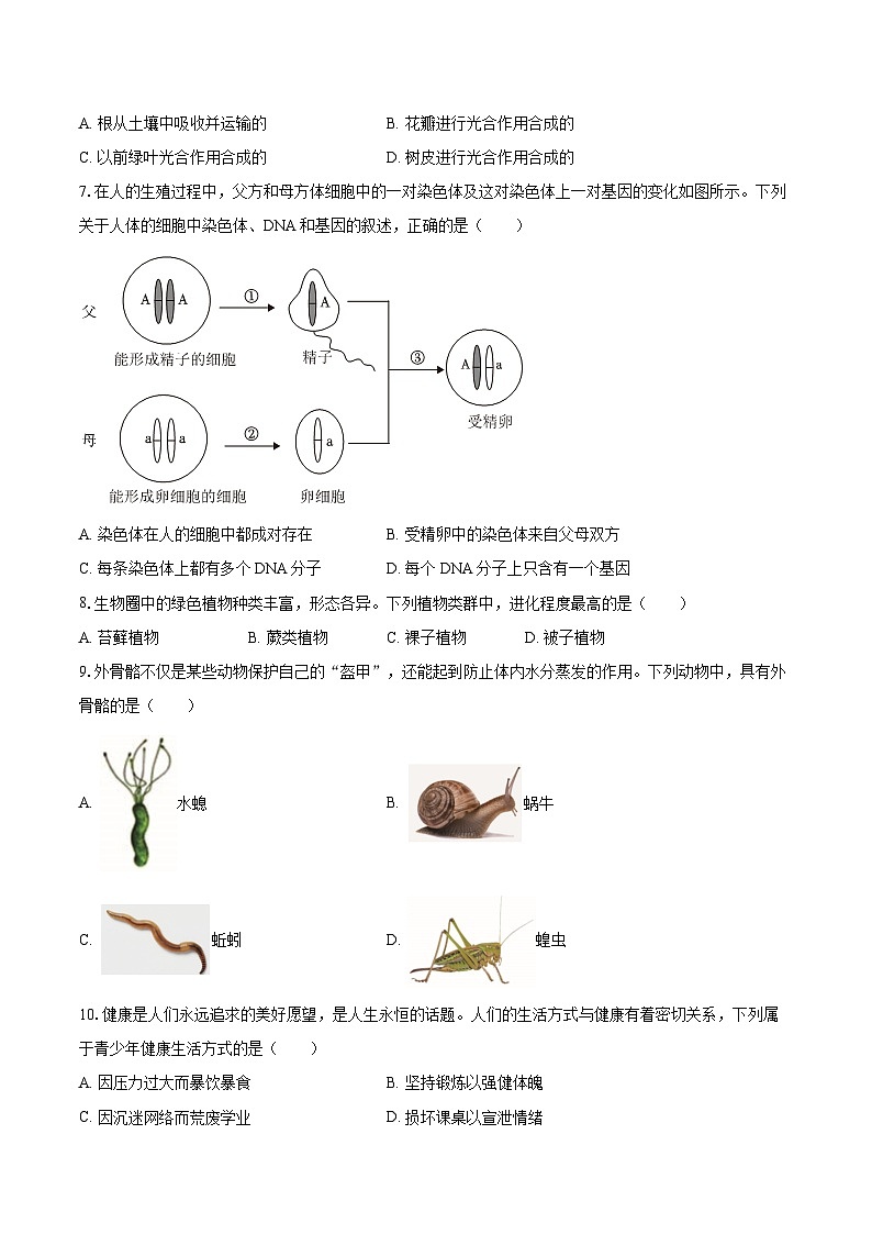 2023年安徽省中考生物试卷（含详细答案解析）02