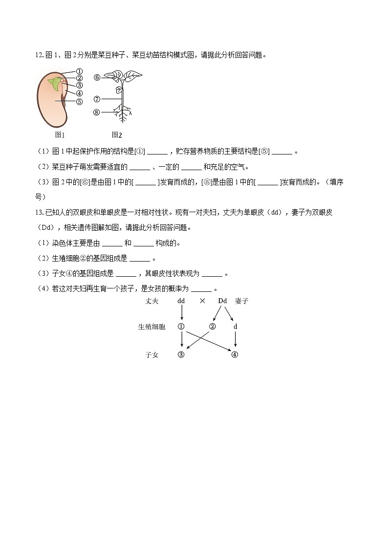 2023年甘肃省定西市中考生物试卷（含详细答案解析）02