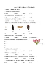 2023年辽宁省营口市中考生物试卷（含详细答案解析）