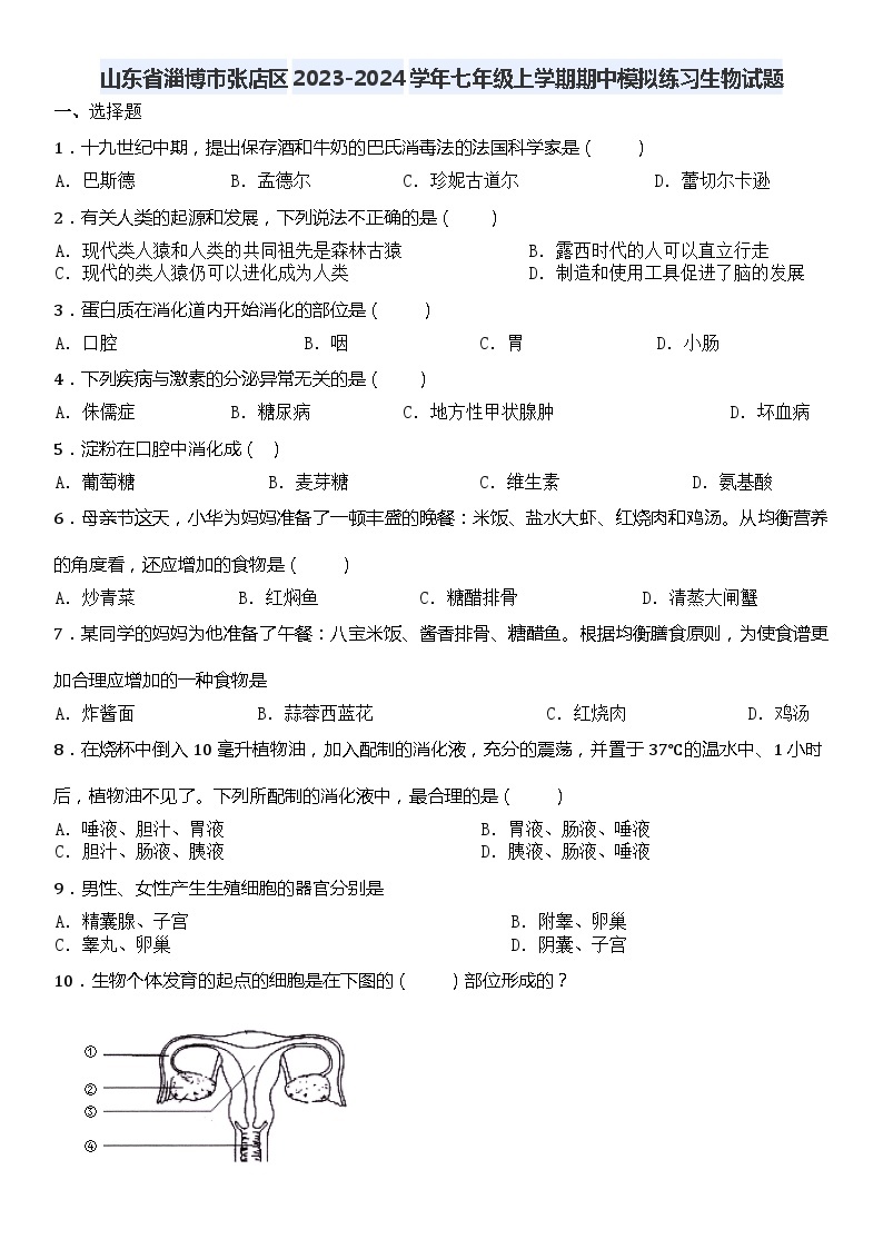 山东省淄博市张店区2023-2024学年七年级上学期期中模拟练习生物试题01