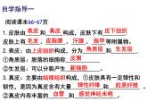 11.3皮肤与汗液分泌课件2023--2024学年北师大版生物七年级下册