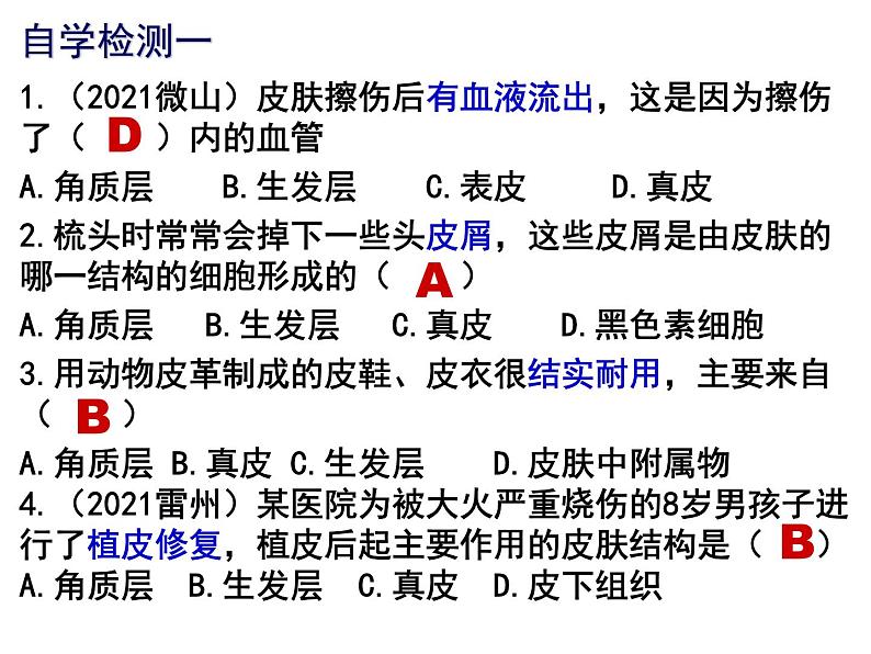 11.3皮肤与汗液分泌课件2023--2024学年北师大版生物七年级下册第5页