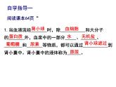 11.2.2尿的形成与排出课件2023--2024学年北师大版生物七年级下册