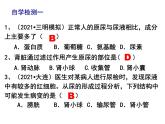 11.2.2尿的形成与排出课件2023--2024学年北师大版生物七年级下册