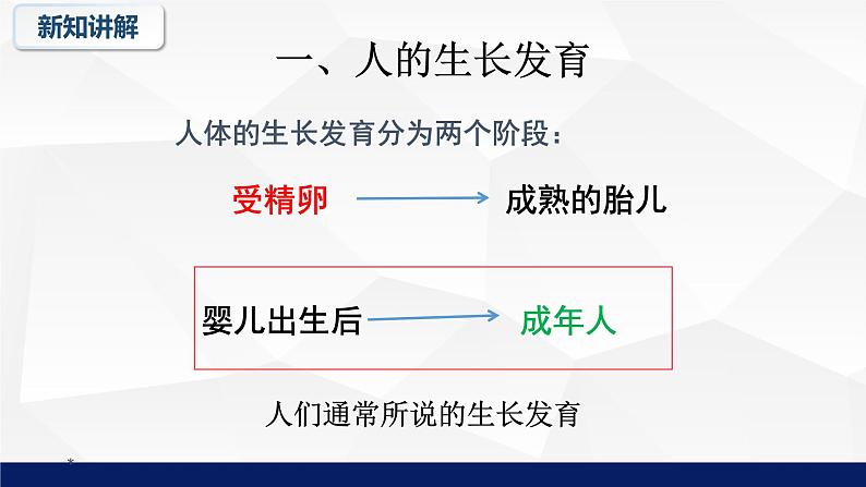 8.2人的生长发育和青春期教学课件2023--2024学年苏教版生物七年极下册06