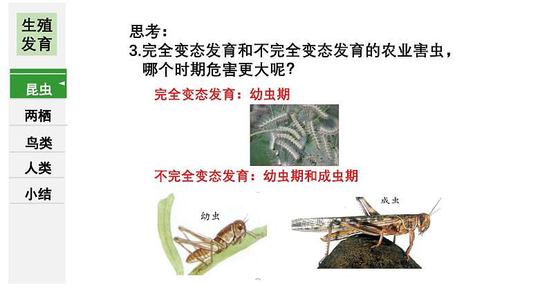 7.1++生物的生殖和发育++复习课件-2023-2024学年人教版生物八年级下册第8页