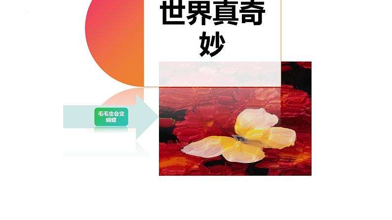 7.1.2昆虫的生殖和发育课件2023--2024学年人教版生物八年级下册 (2)02