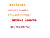 7.1.2昆虫的生殖和发育课件2023--2024学年人教版生物八年级下册 (2)