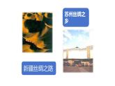 7.1.2昆虫的生殖和发育课件2023--2024学年人教版生物八年级下册 (2)