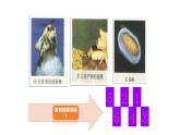 7.1.2昆虫的生殖和发育课件2023--2024学年人教版生物八年级下册 (1)