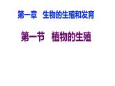 7.1.1-植物的生殖课件2023--2024学年人教版生物八年级下册